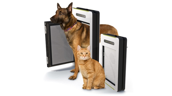 Best Cat Doors and Flap Guide